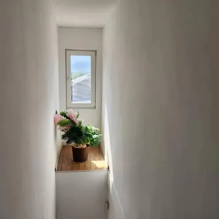 Hébergement de vacances Spacious 4-bedroom House In Brunehaut With Views