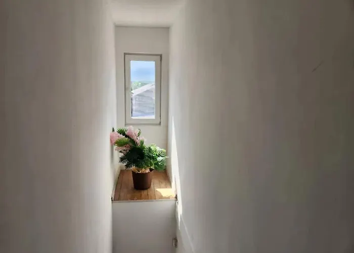 Hébergement de vacances Spacious House In Brunehaut With View